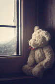 熊玩具看着窗外图片素材