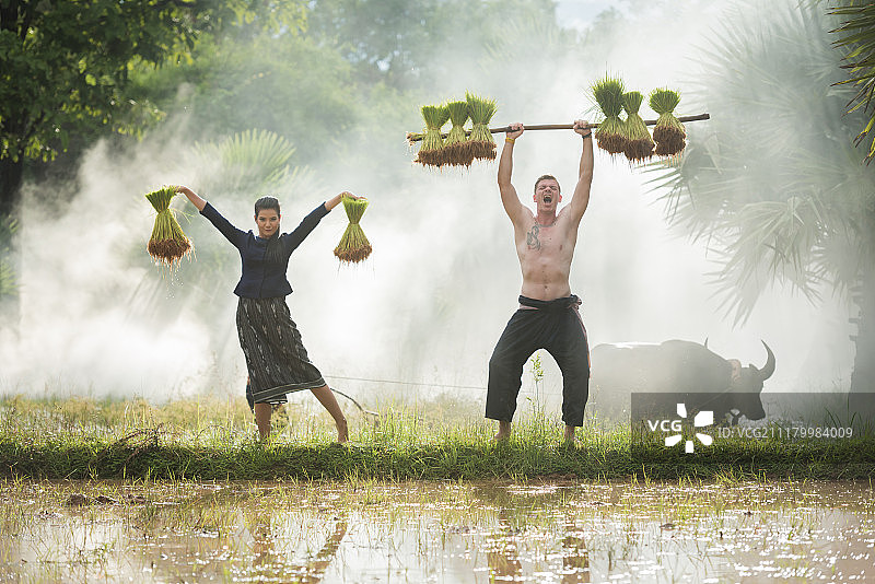 农民在雨季种植水稻图片素材