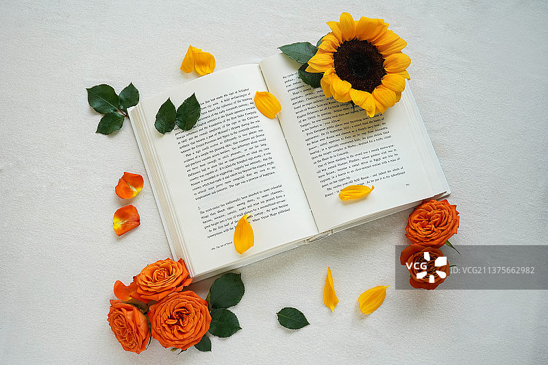 玫瑰向日葵和书的高角度俯拍图片素材