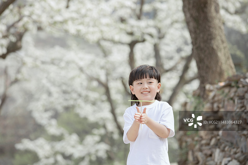 快乐小男孩在户外郊游玩竹蜻蜓游戏图片素材