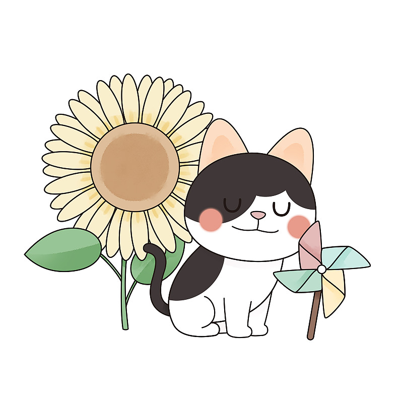 十二月貓與花之向日葵圖片素材