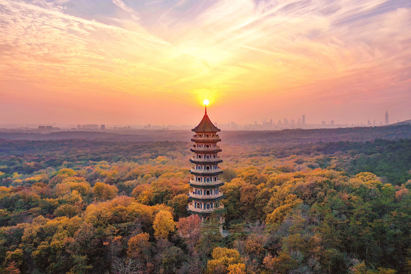 南京靈谷寺的秋天圖片素材