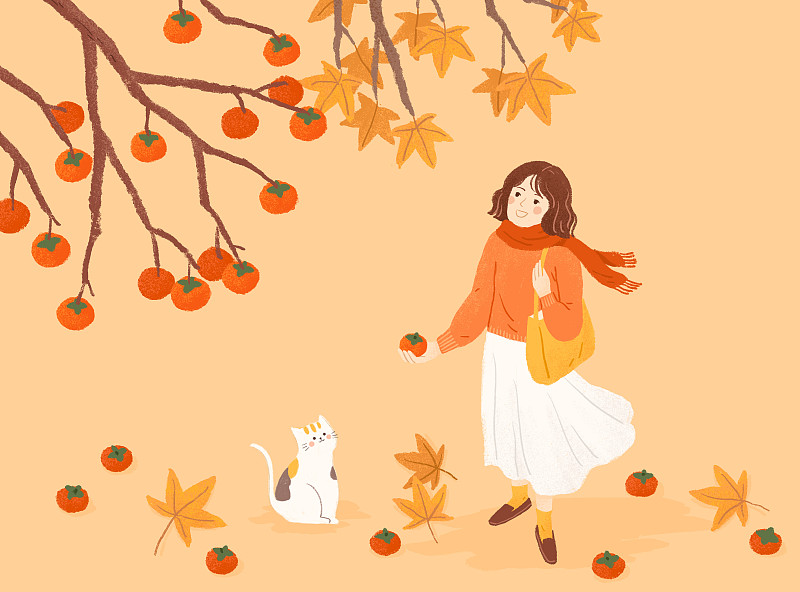 霜降柿子樹秋天節氣插畫圖片