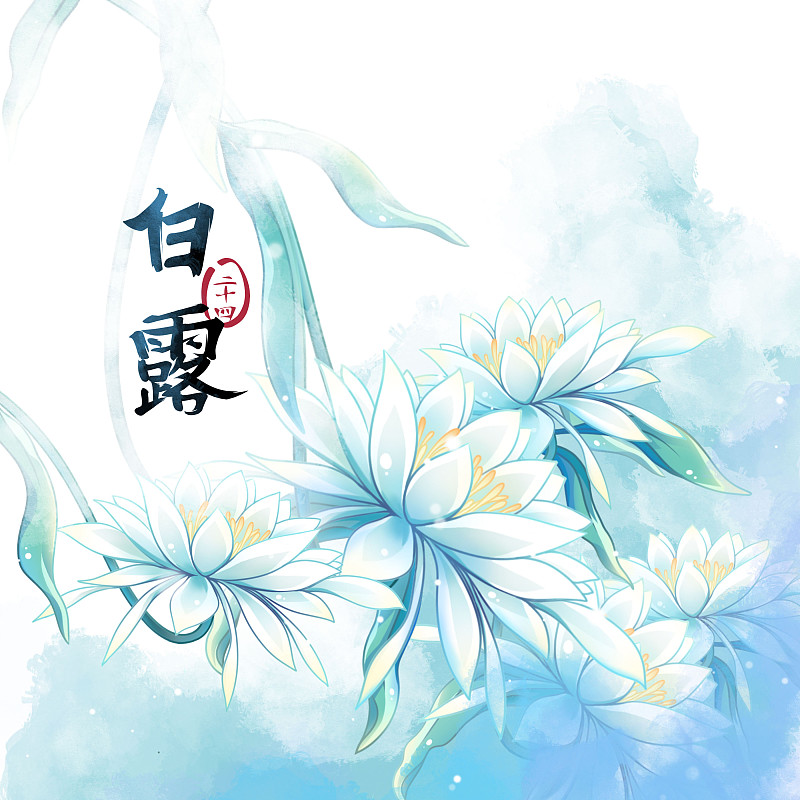 白露節氣——曇花——二十四節氣系列唯美花卉插畫圖片