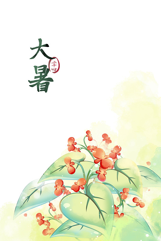 大暑——秋海棠，古風水彩二十四節氣系列唯美花卉插畫圖片