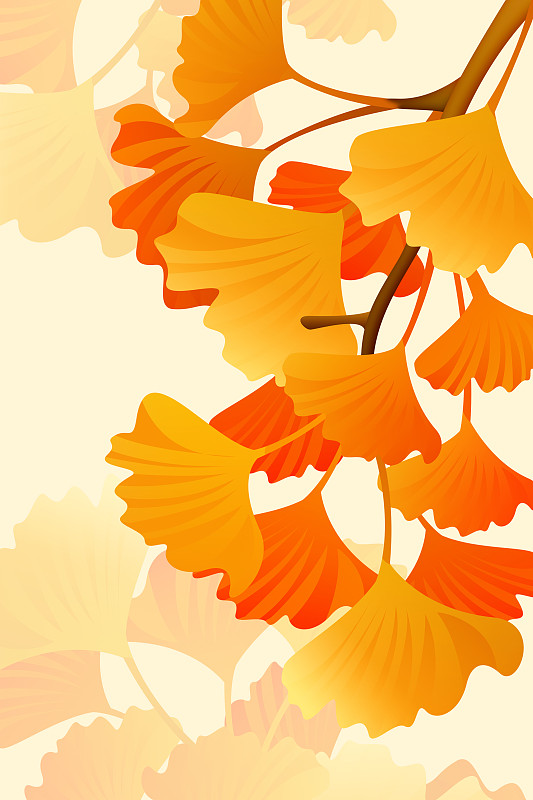 簡約風格秋季銀杏葉圖片素材