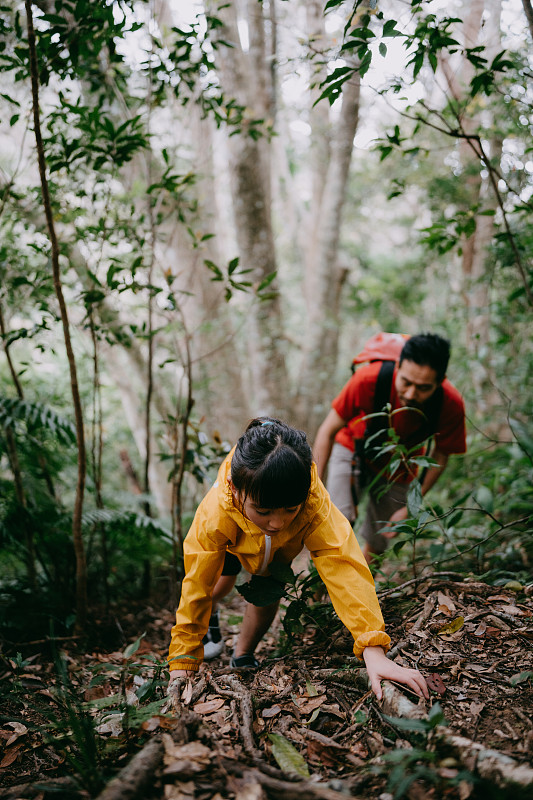 小女孩和爸爸在日本沖繩的森林里徒步旅行圖片素材