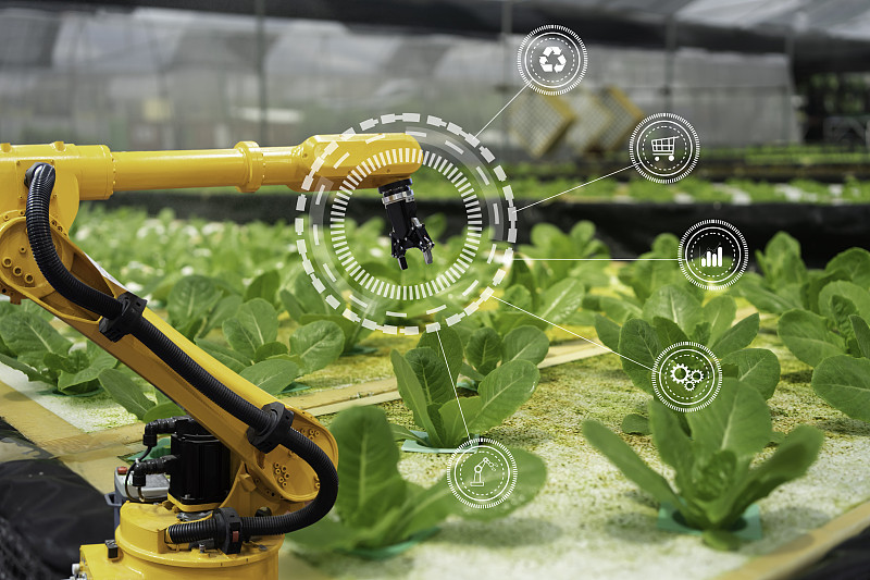 智能農業的概念。使用尖端技術種植作物，管理無毒蔬菜的生產。圖片素材