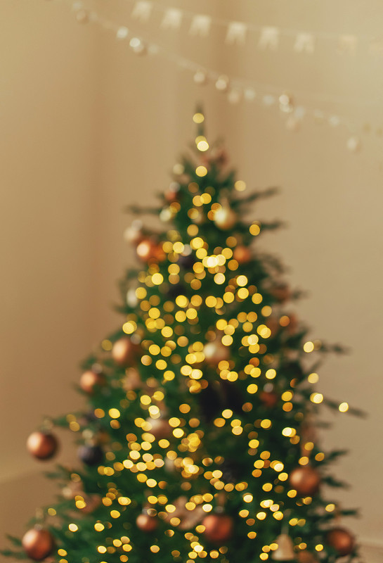 圣誕節模糊的背景與裝飾冷杉樹。慶祝新年的概念。圖片素材