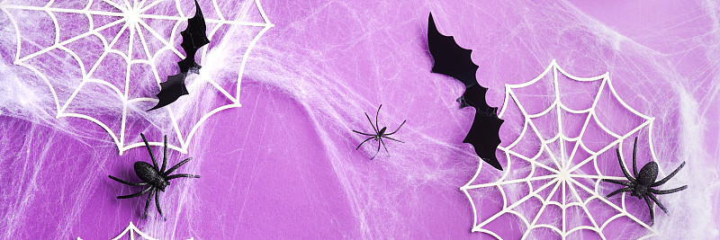 網橫幅由蜘蛛網，蜘蛛和黑色蝙蝠在紫色。萬圣節背景和裝飾概念?？植篮涂植赖谋尘芭c復制空間為您的廣告攝影圖片