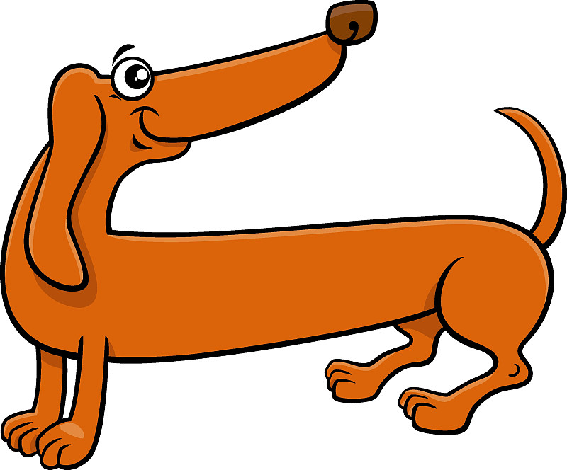 卡通純種臘腸狗漫畫動物人物插畫圖片