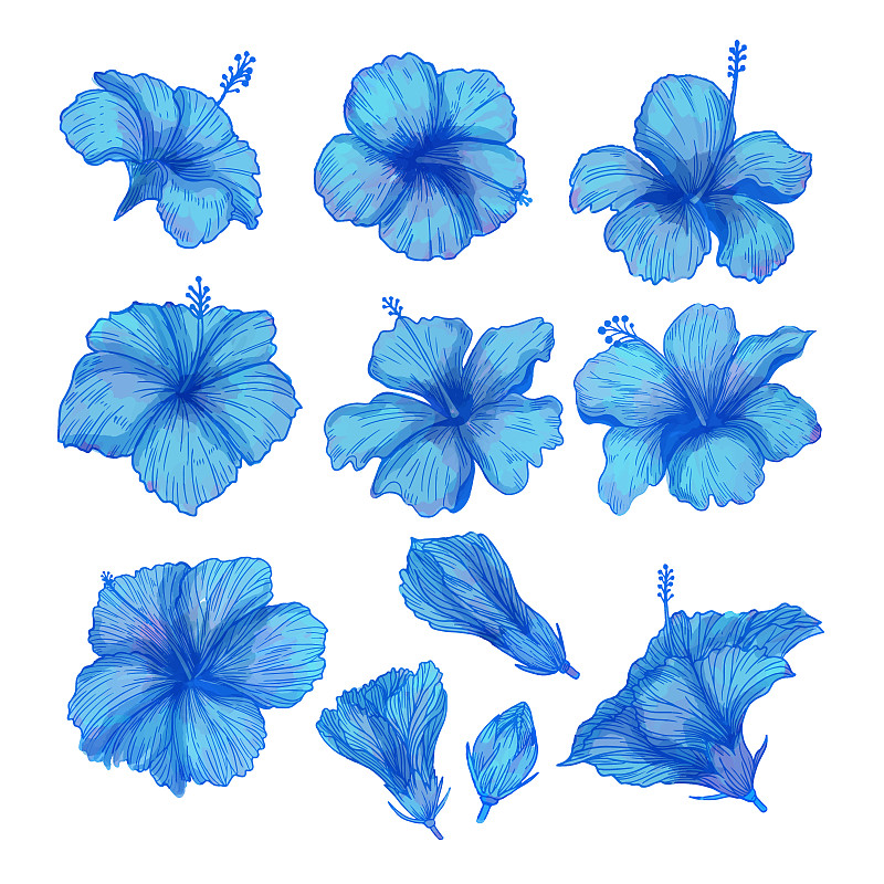 一套水彩花，藍色植物剪貼畫插畫圖片