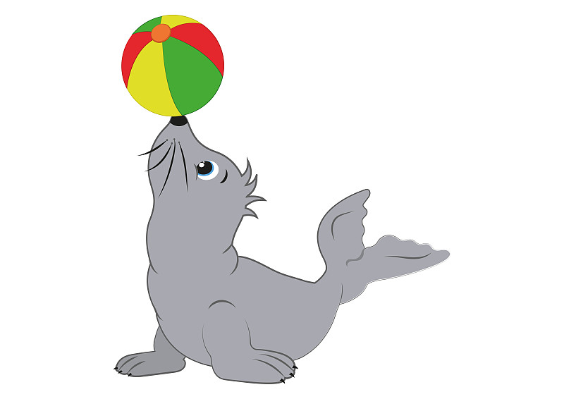 玩沙灘球的卡通海豹。海豹突擊隊，我是沙灘球插畫圖片