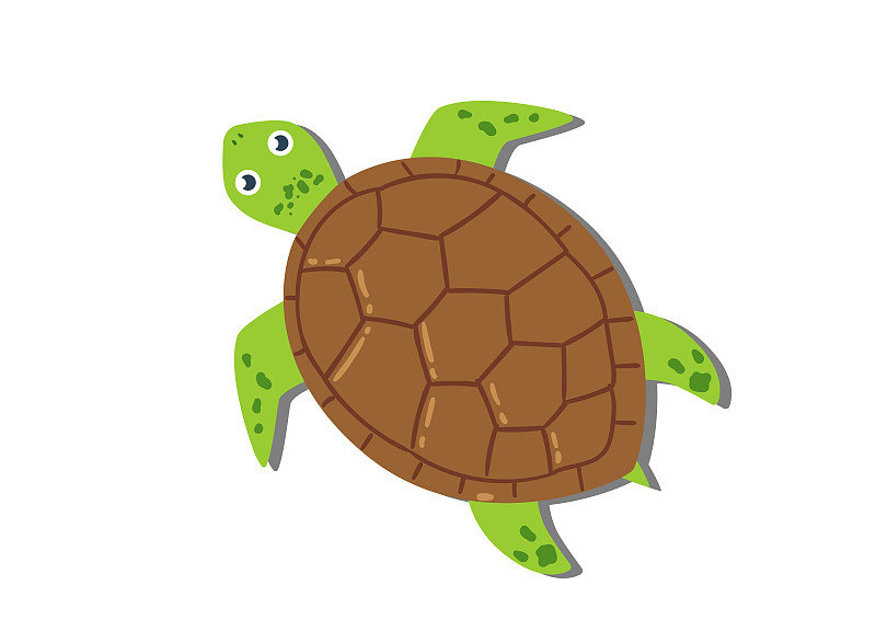 平面風格的卡通烏龜。白色背景上孤立的烏龜圖標的矢量插圖插畫圖片