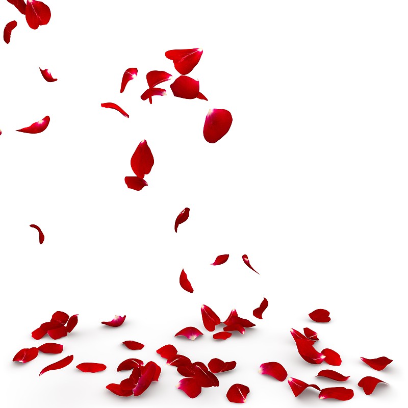玫瑰花瓣飄落到地板上圖片素材