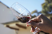 在Diemersfontein葡萄酒，南非，一杯红酒的特写图片素材