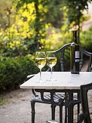 在西班牙加利西亚的一家酿酒厂的花园里，两杯Albarino白葡萄酒图片素材