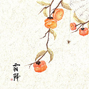 插画二十四节气果蔬系列之霜降柿子图片素材