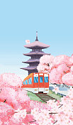 日本樱花季图片素材