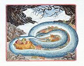 蛇在冬天睡觉的插图，代表中国的蛇年图片素材