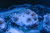鸟瞰图-被冰雪覆盖的小岛图片素材