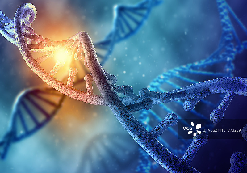 DNA分子。蓝色背景下dna分子的生物化学概念图片素材