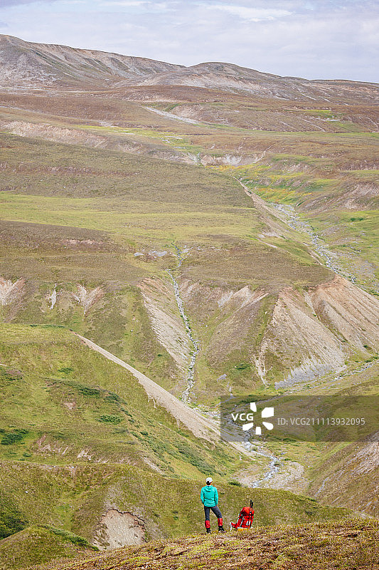 女性徒步旅行者站在一个背包探索三角洲山脉，阿拉斯加山脉，阿拉斯加，美国图片素材