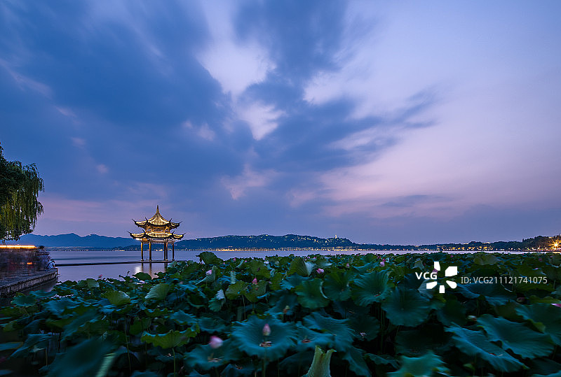 杭州西湖夜景风光图片素材