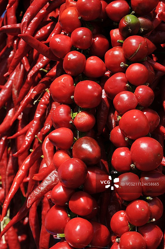 不同种类红辣椒的特写图片素材