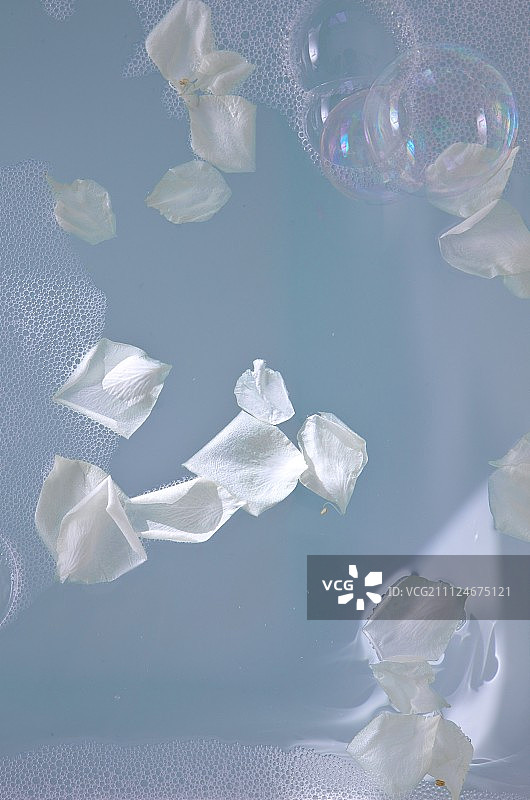白色玫瑰花瓣在带泡泡的肥皂水里图片素材