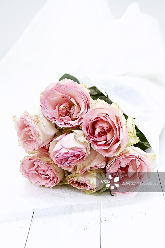 白色画板上的丝纸上的玫瑰花束图片素材