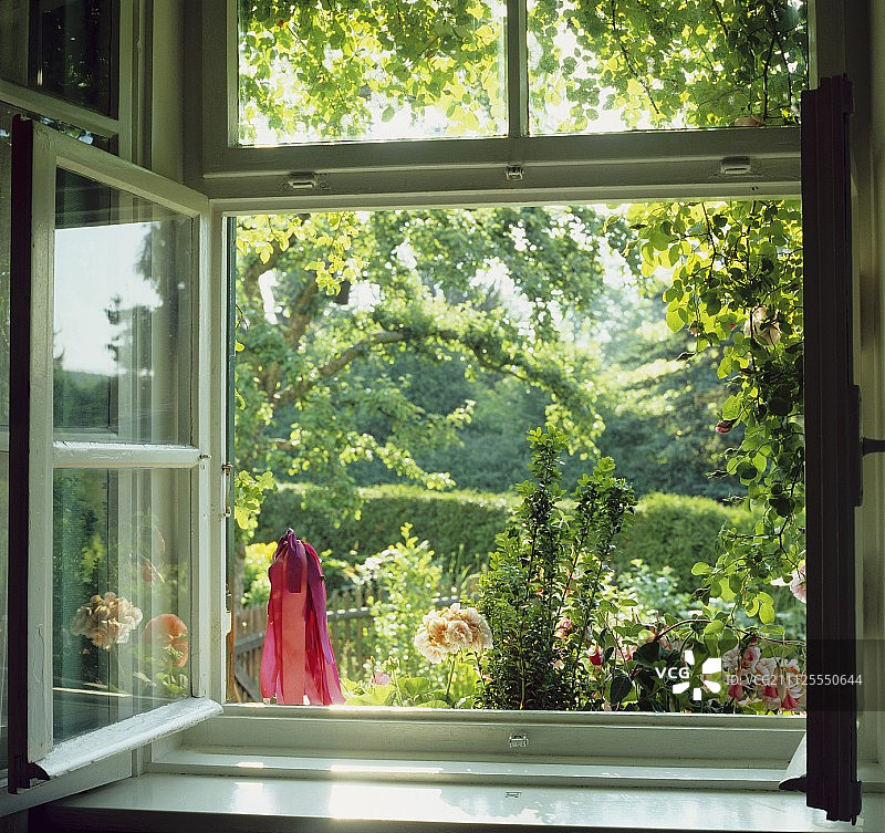 透过打开的窗户看到夏季花园的景色图片素材