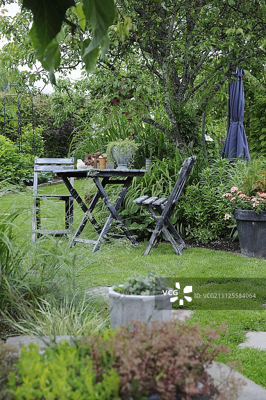 夏日花园梨树下的风化木桌椅图片素材