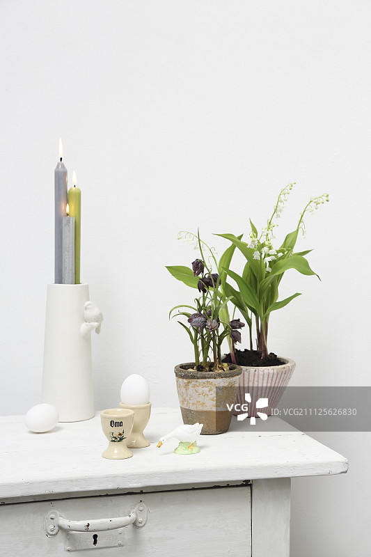 在蛋杯旁的盆栽植物和在橱柜顶部的花瓶里点燃的蜡烛图片素材