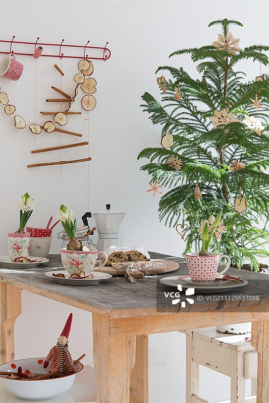 圣诞桌子上装饰着复古杯子里的风信子，水果蛋糕，咖啡壶，小圣诞树上有稻草星星和干苹果片花环靠墙图片素材