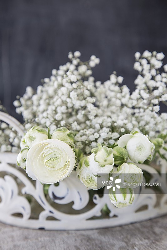白毛茛和天竺葵在白色的金属篮子里图片素材