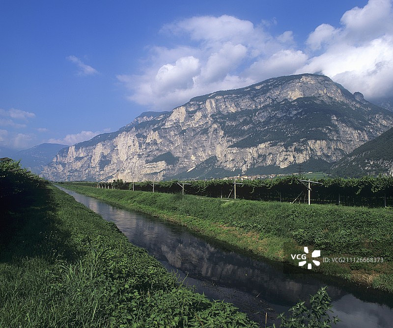 意大利特伦蒂诺的葡萄酒种植图片素材