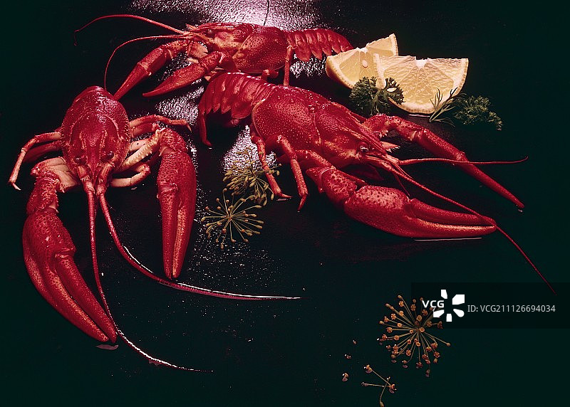 三只煮熟的螃蟹在黑色的背景上图片素材