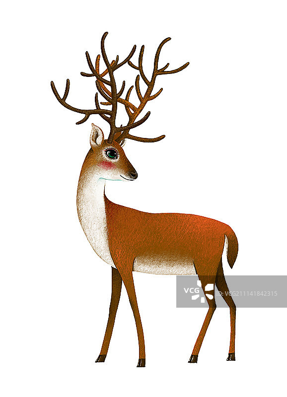 动物插画系列作品-鹿图片素材