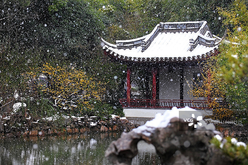 上海五大古典园林之古猗园雪景图片素材