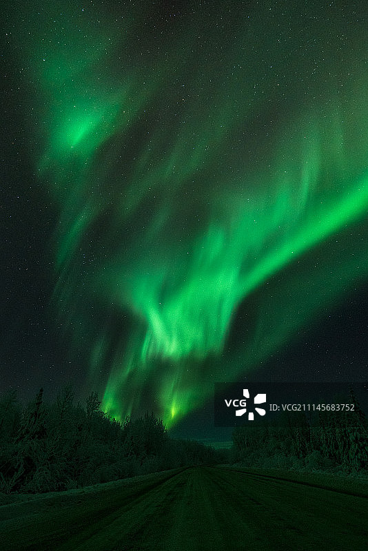 加拿大育空北极光之夜 夜路绿火图片素材