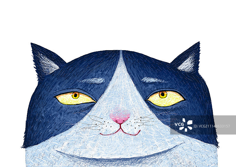 背景分离动物系列组图共3000多幅-蓝猫图片素材
