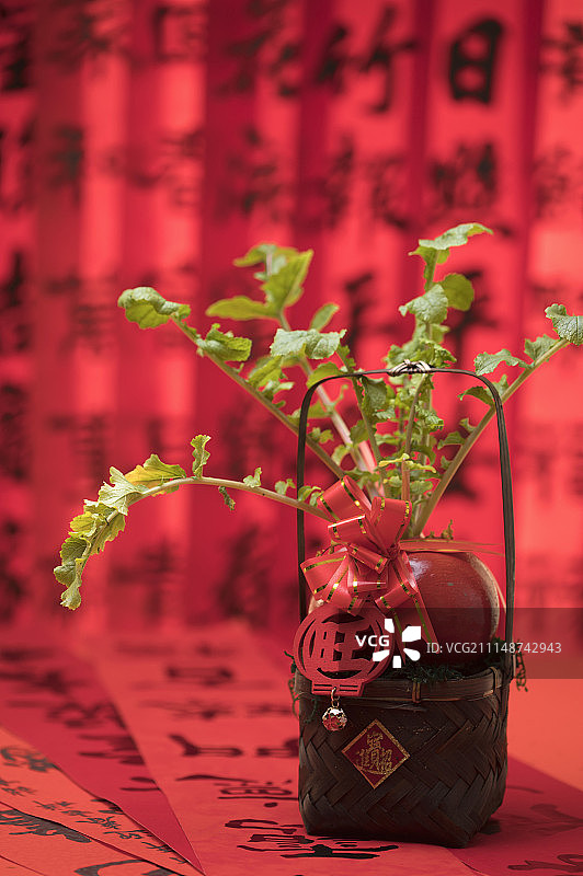 甜菜,甜菜根,新年,春节图片素材