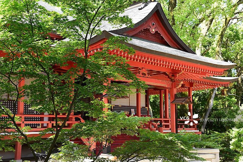 京都大觉寺图片素材