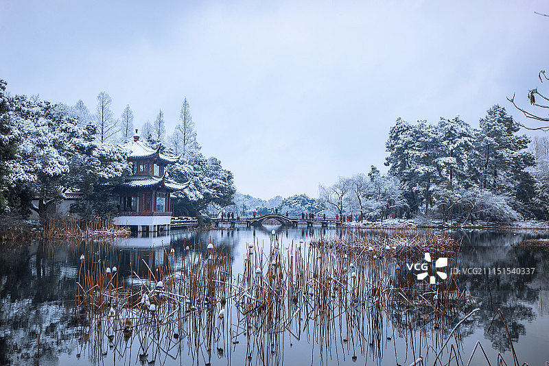 杭州曲院风荷雪景图片素材