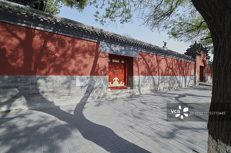 北京传统四合院和古树图片素材