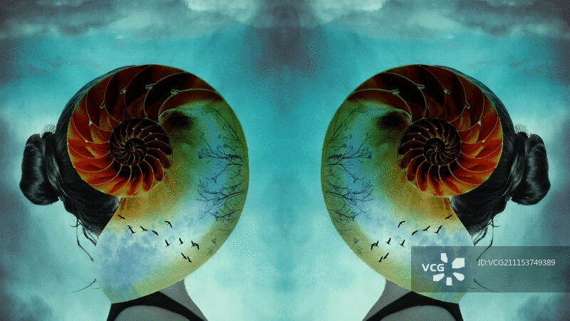 两个旋转的鹦鹉螺壳与飞鸟的对称蒙太奇重叠的两个女孩的侧面图片素材