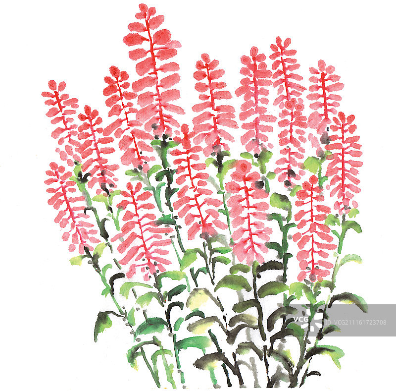 中国画水墨花卉系列第一季共1000幅-花卉墙下红图片素材