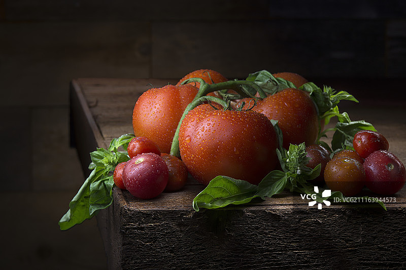 新鲜湿润的普通番茄和樱桃番茄图片素材