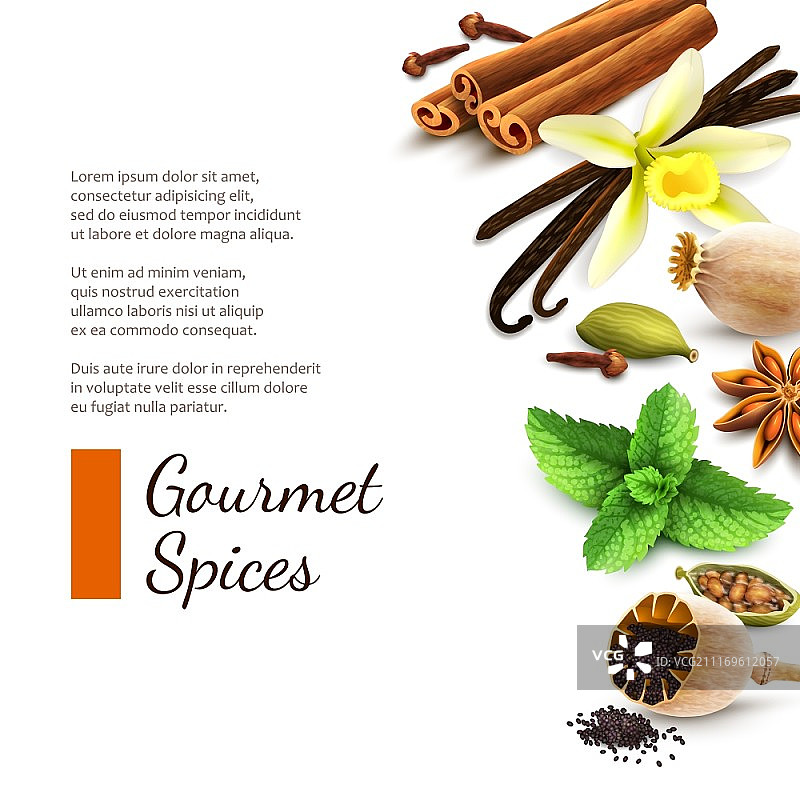糖果，美食，香料，食品产品装饰元素上的白色背景矢量插图图片素材